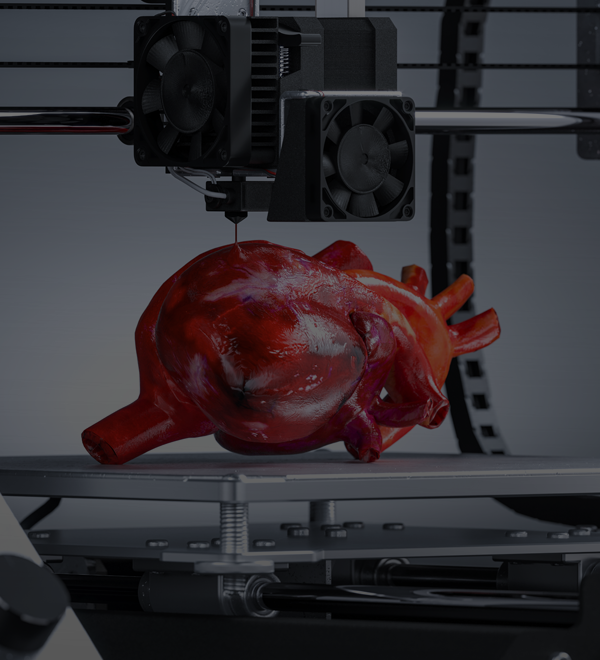 impression des organes en 3D